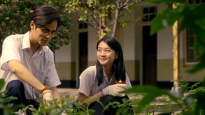 nioMJPwSRqULYunml6C2ZMKd8nx