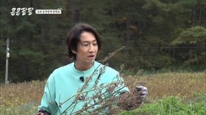 tfNUe8J393k8keNO89AEyPpuStn